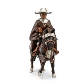 Chalancito con caballo de paso